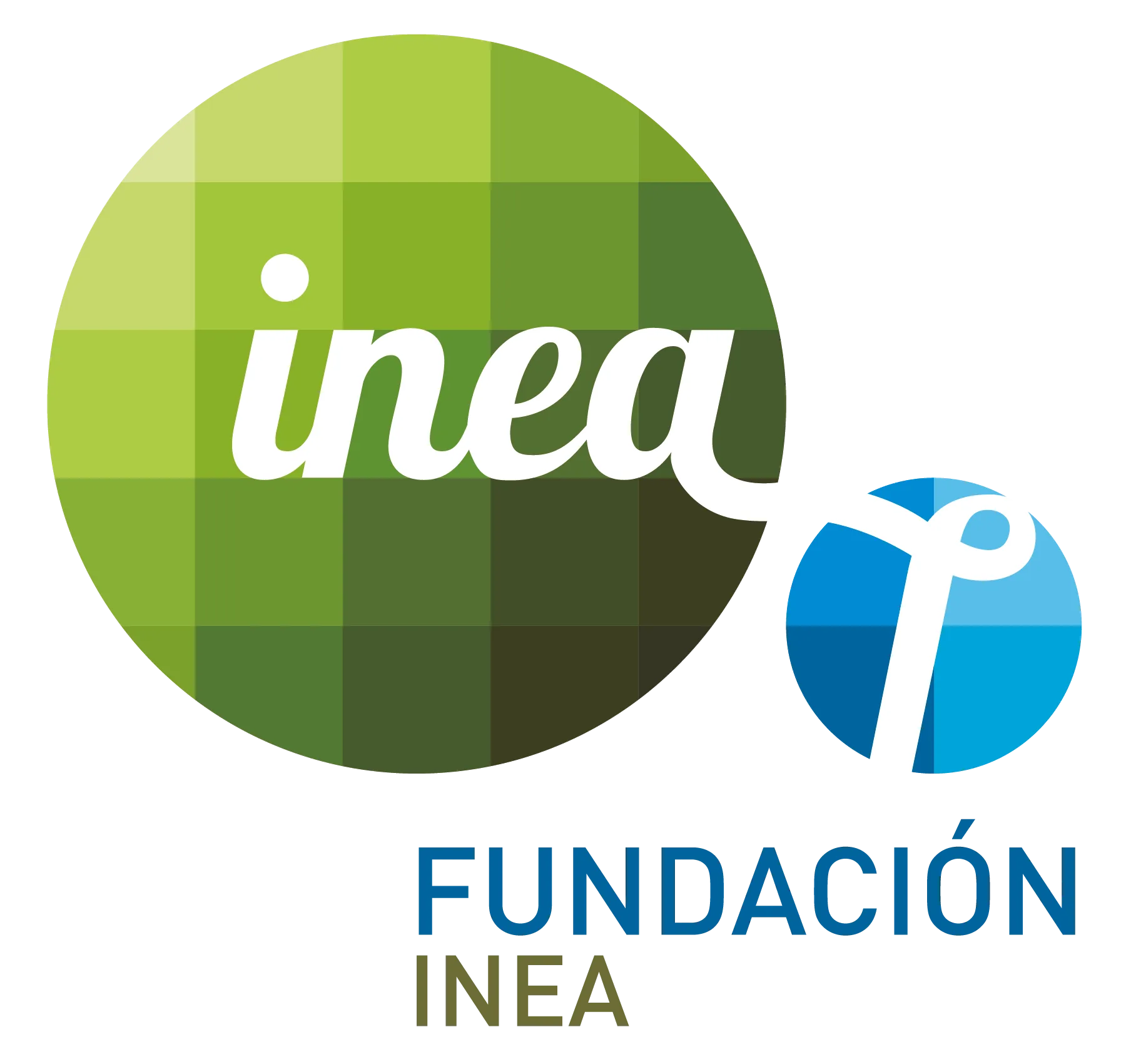 Fundacion_Inea